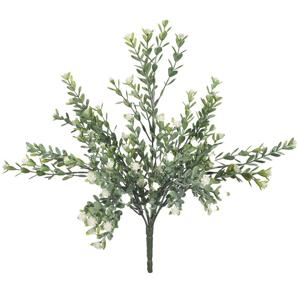 Babys Breath Bush