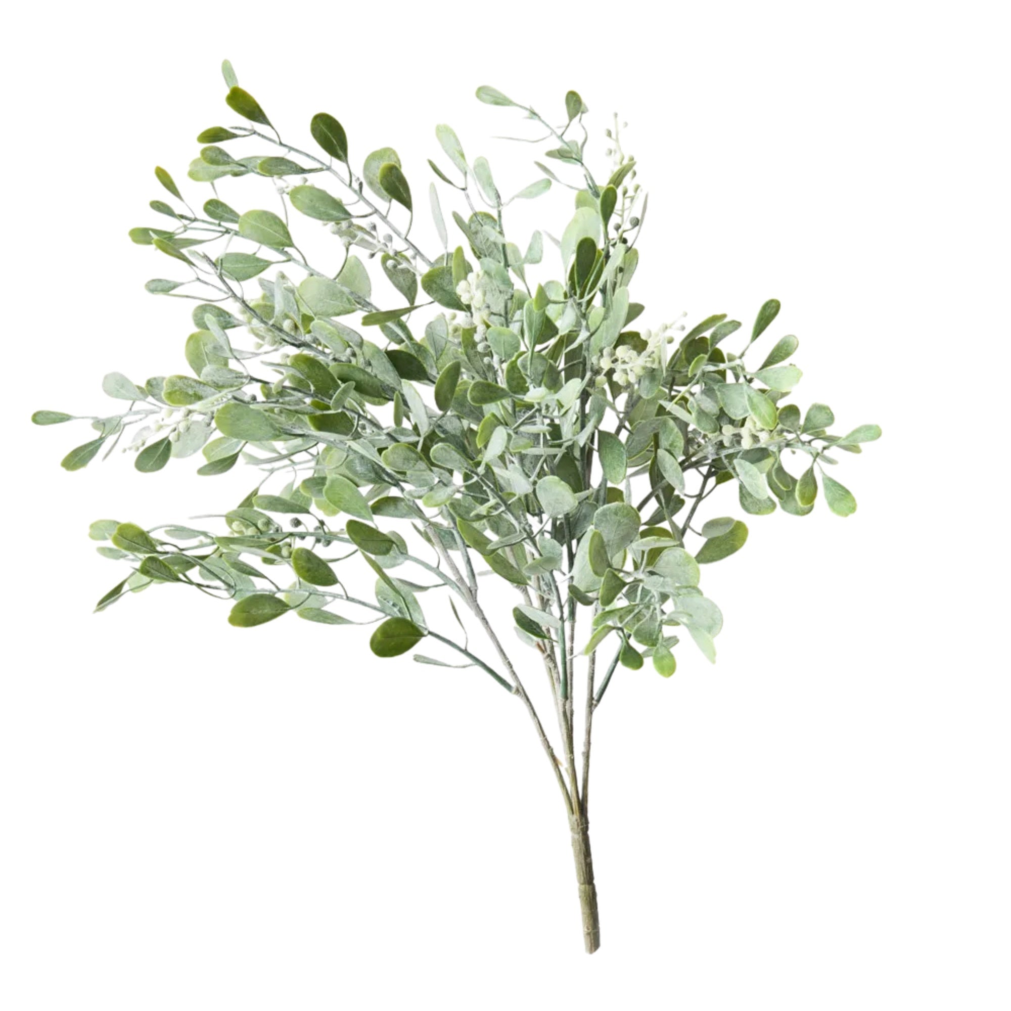 Boxwood Berry Stem