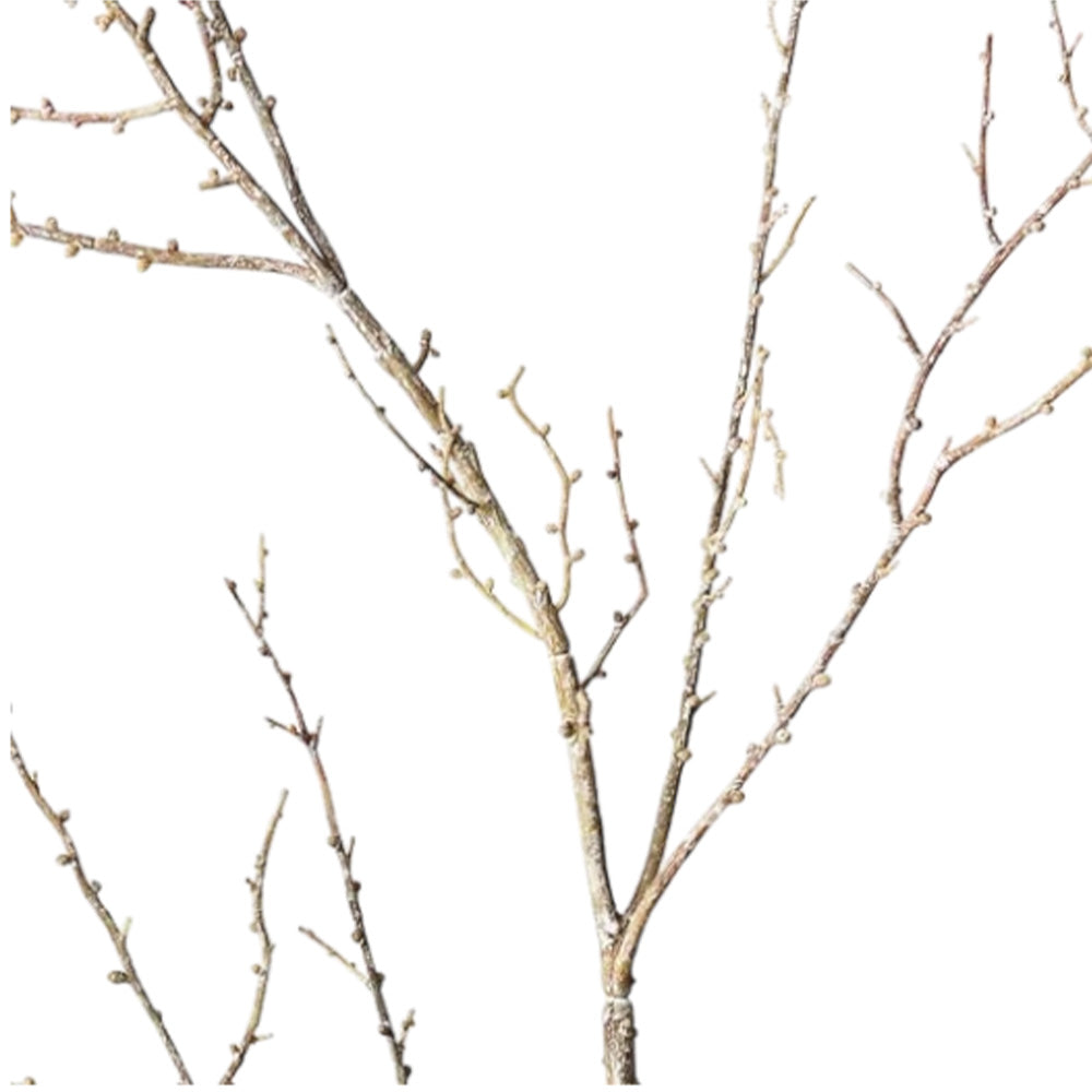 Twig Spray