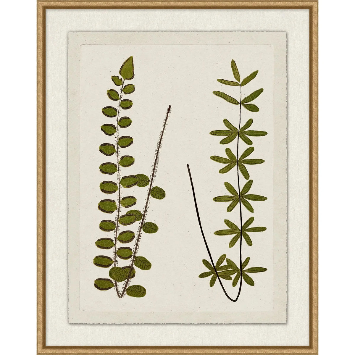 Green Plant Presses 4