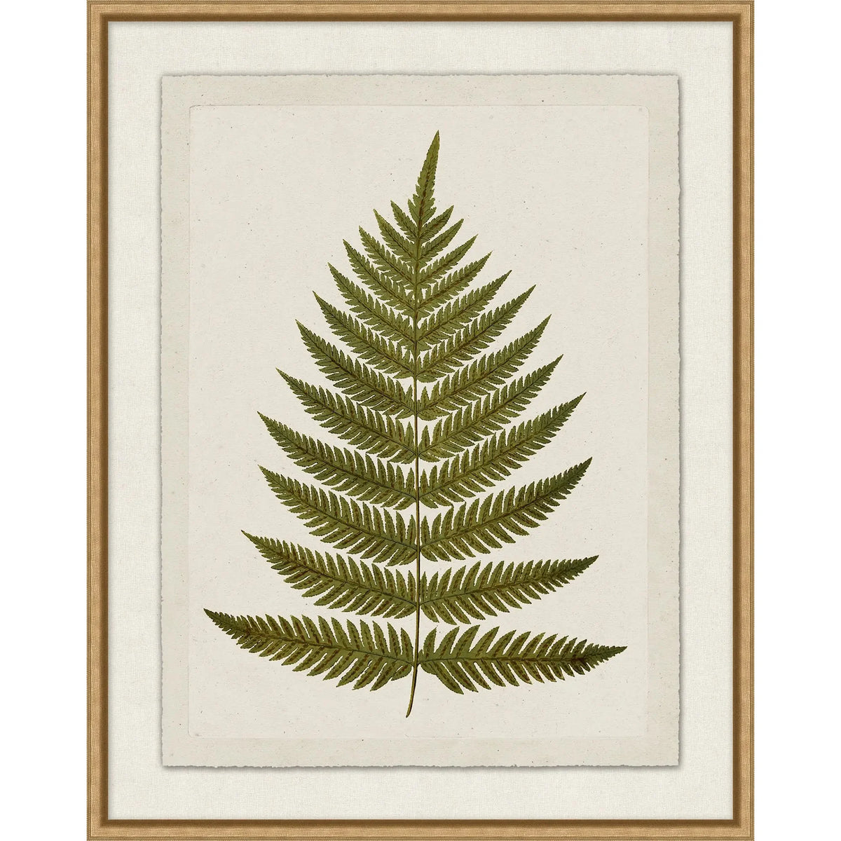 Green Plant Presses 5