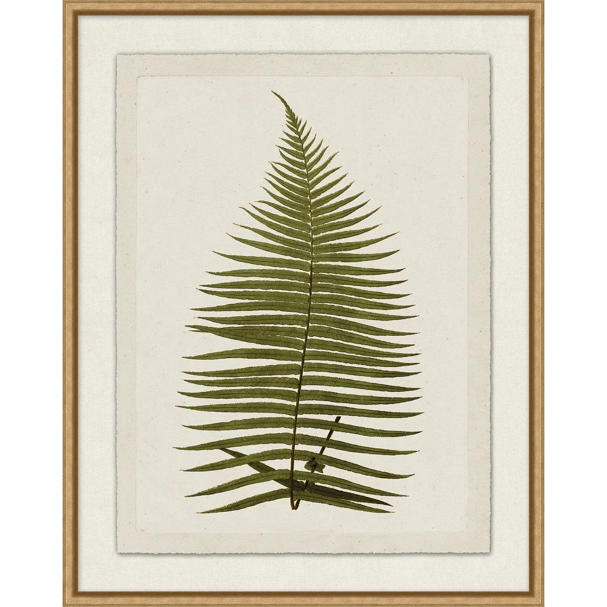 Green Plant Presses 6