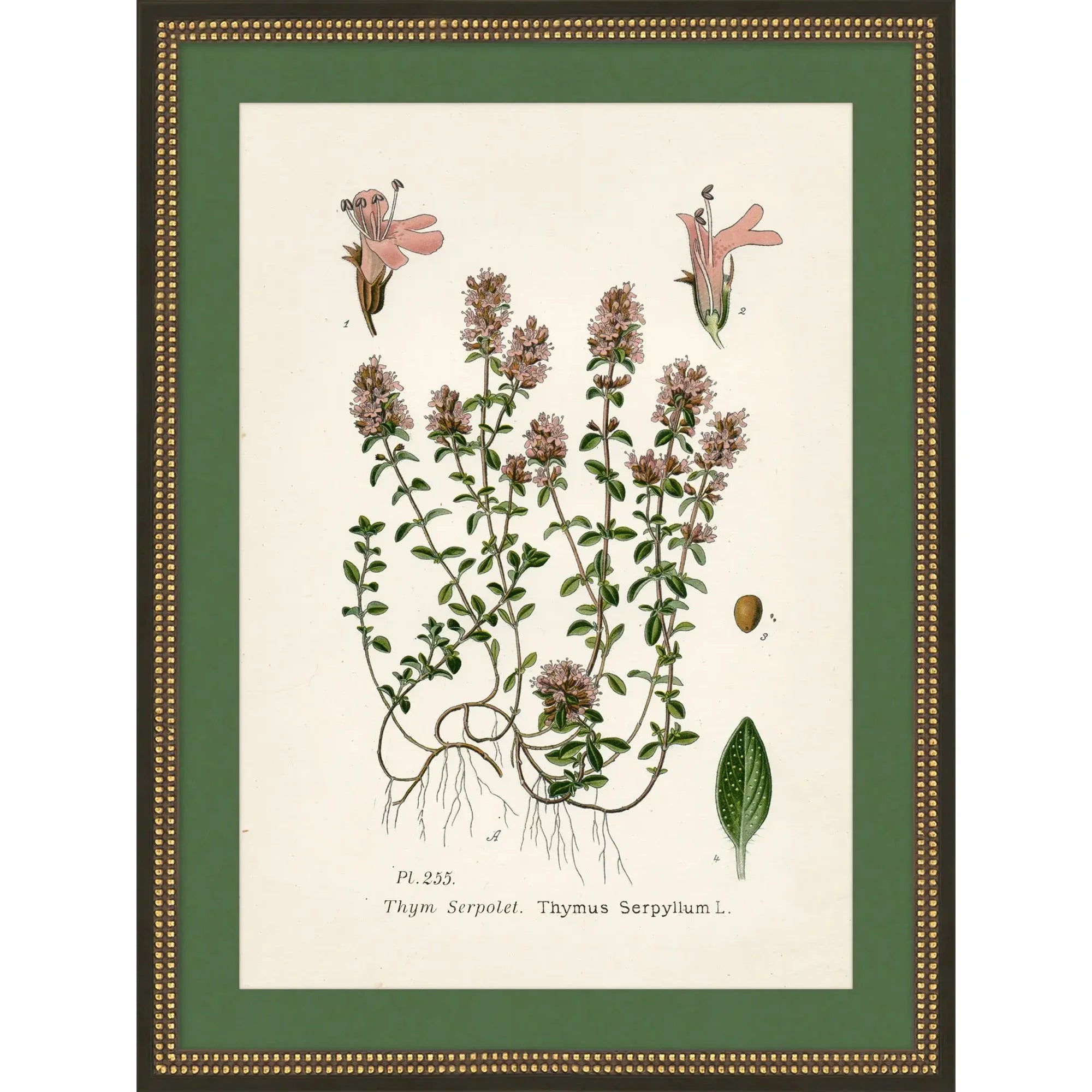 Green & Pink Wildflower Study 1