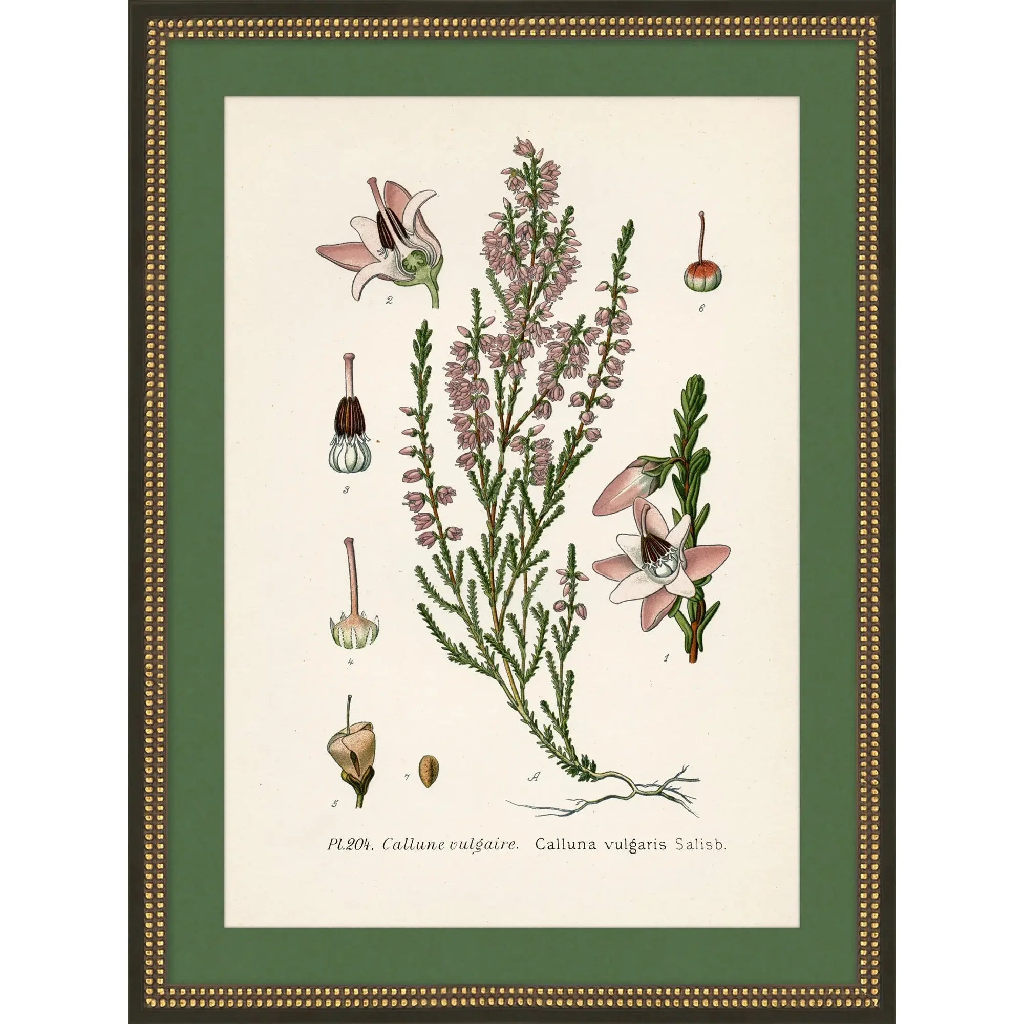 Green & Pink Wildflower Study 2