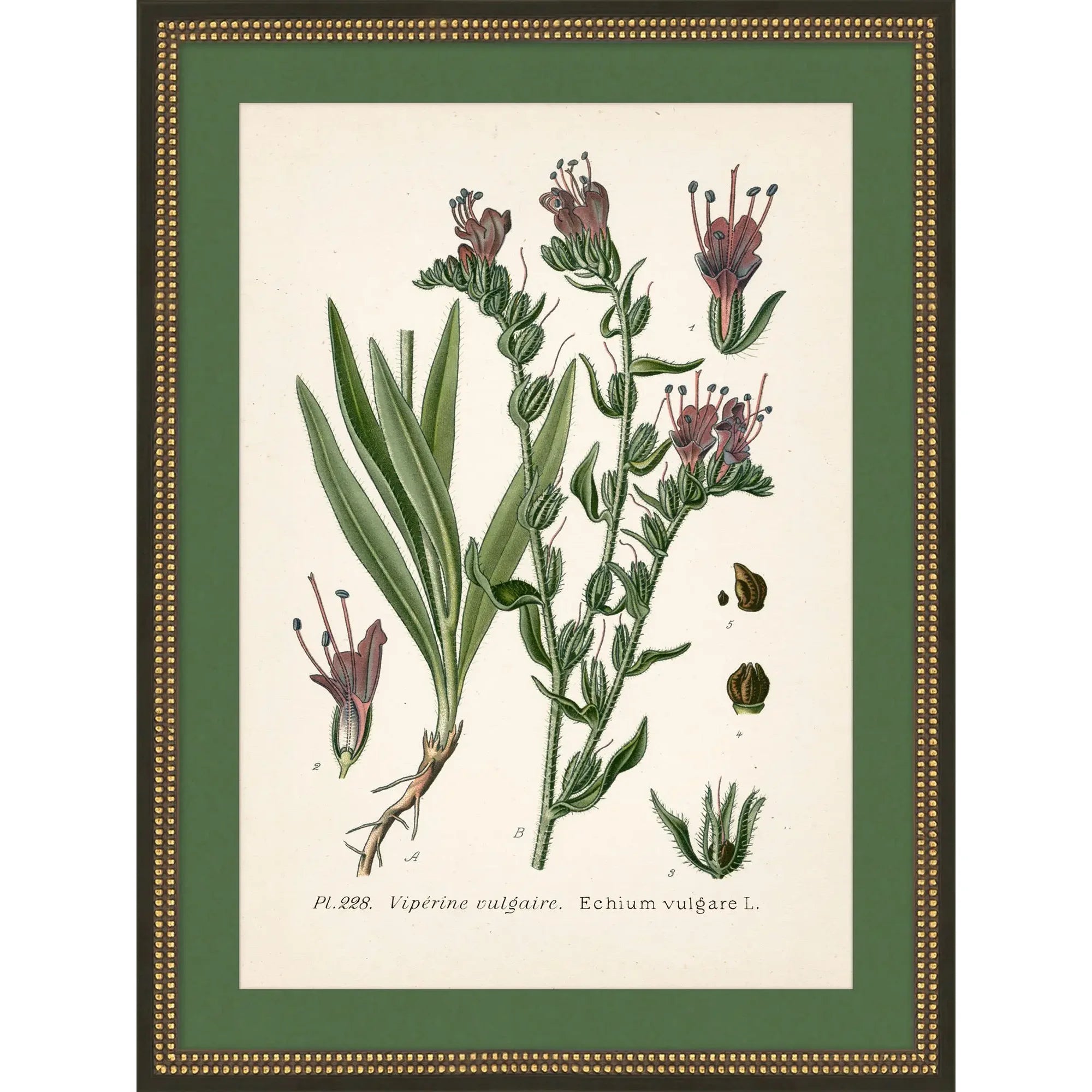 Green & Pink Wildflower Study 3