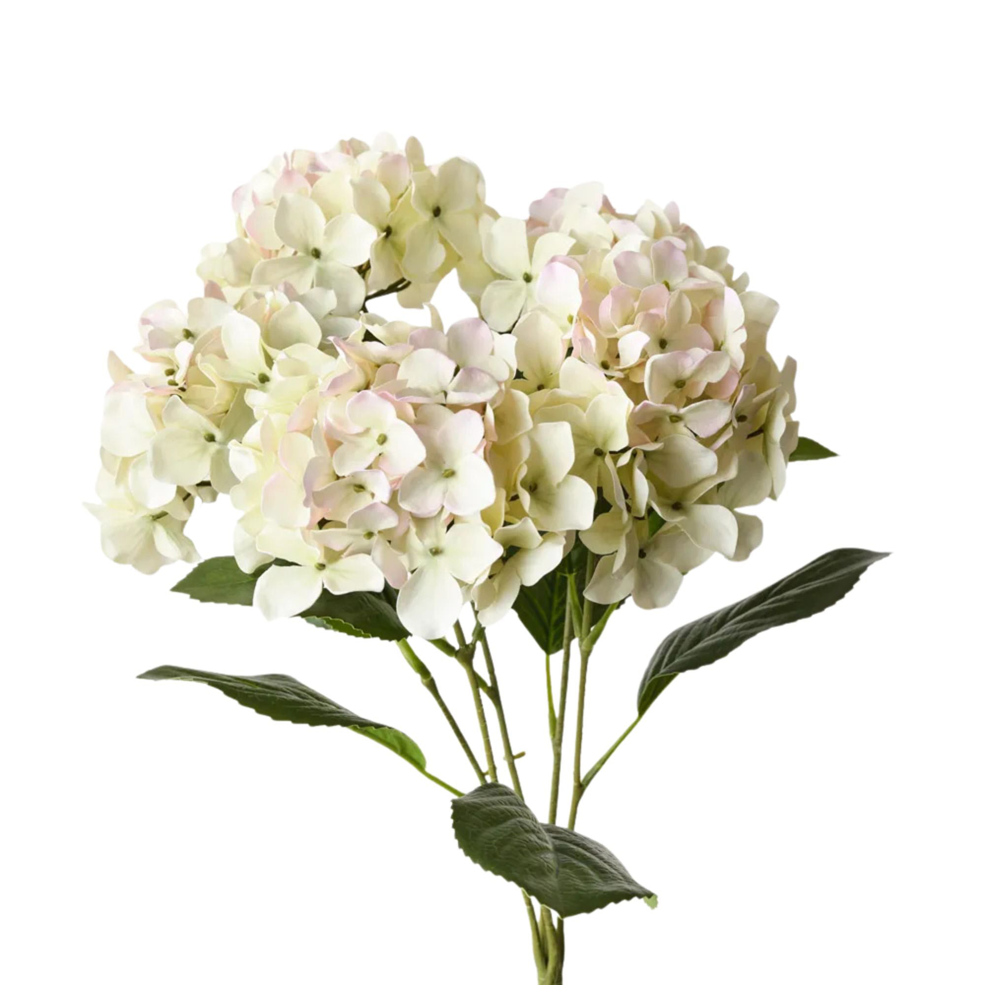 Hydrangea Bunch Blush