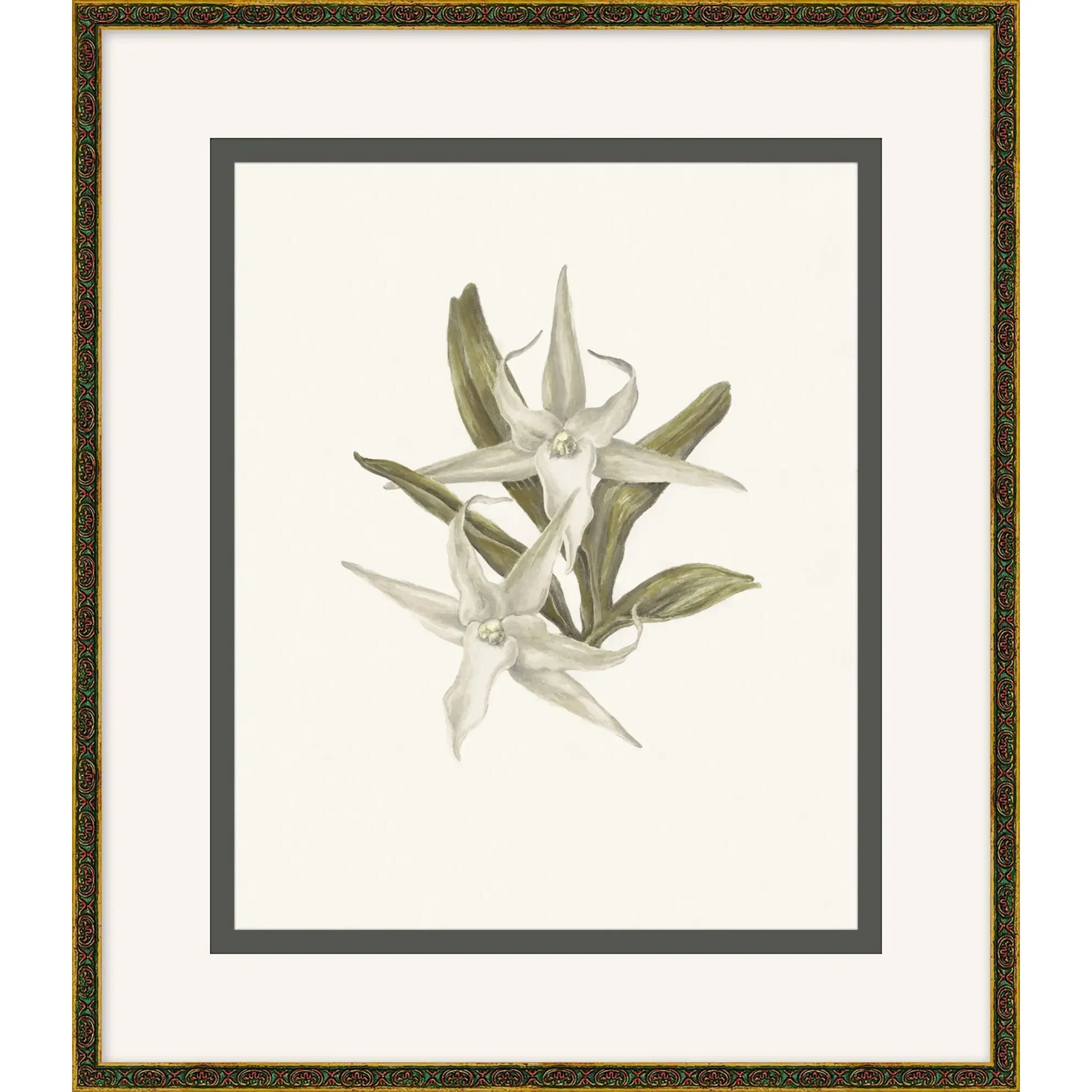 Orchid Study 2