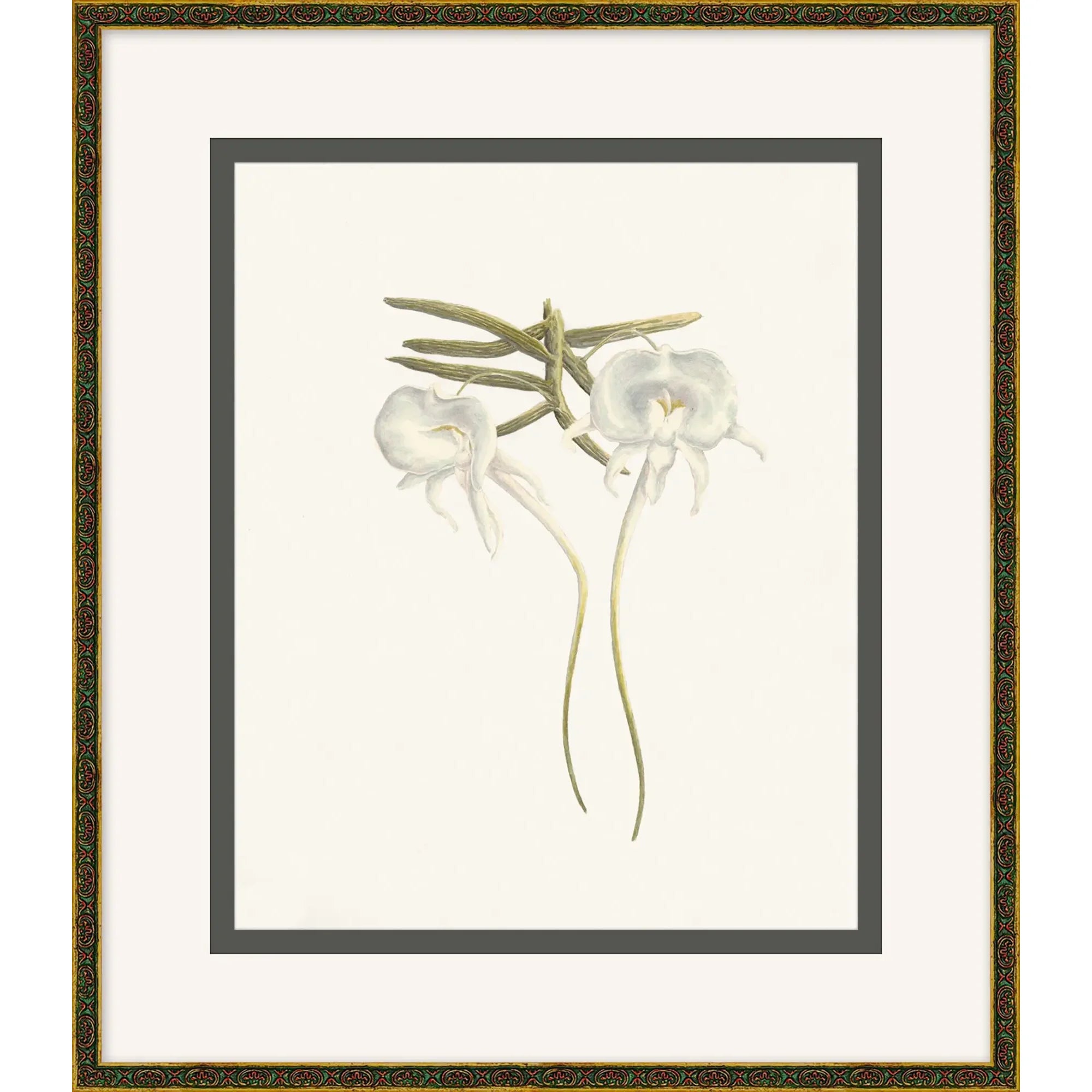Orchid Study 3