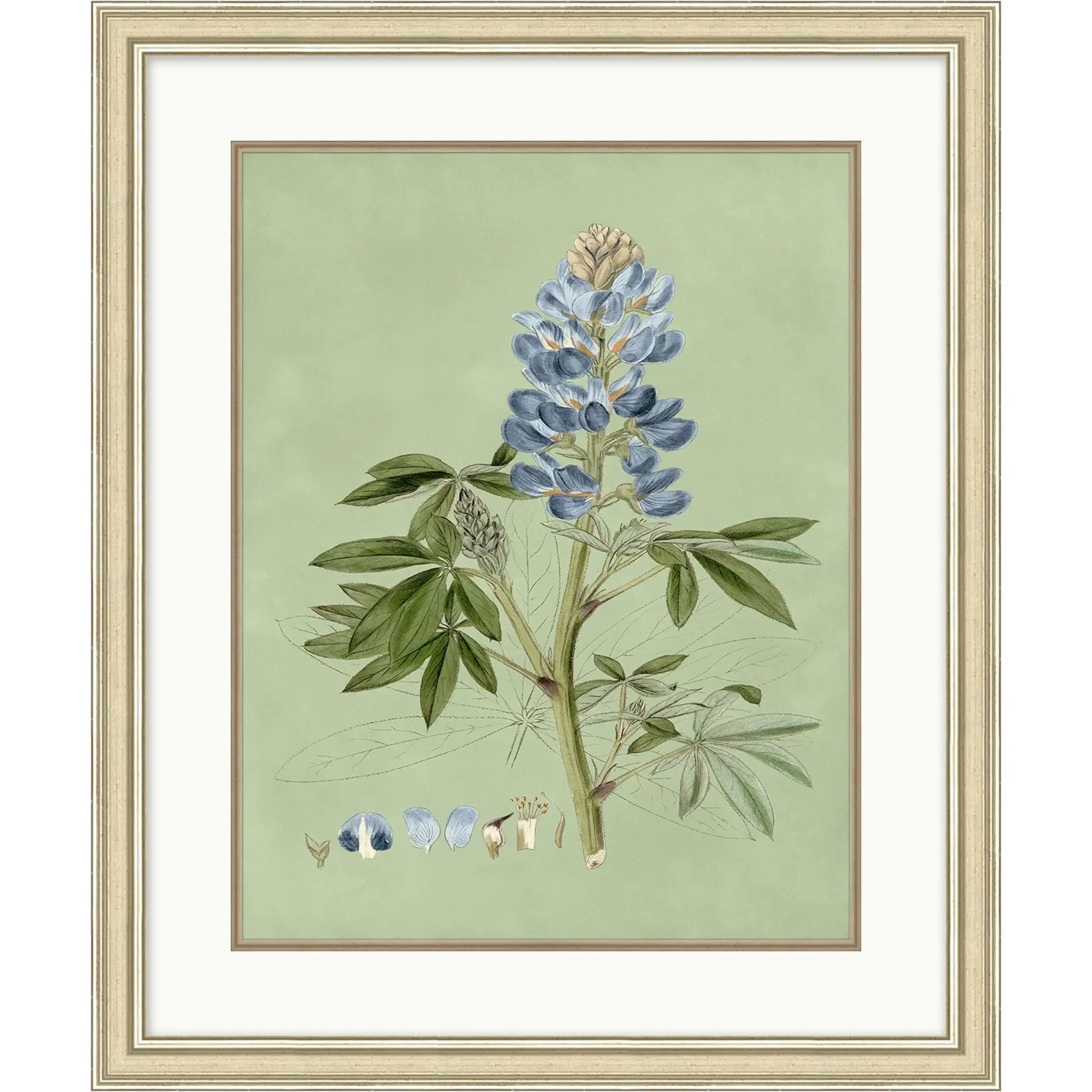 Sage & Blue Botanical 1