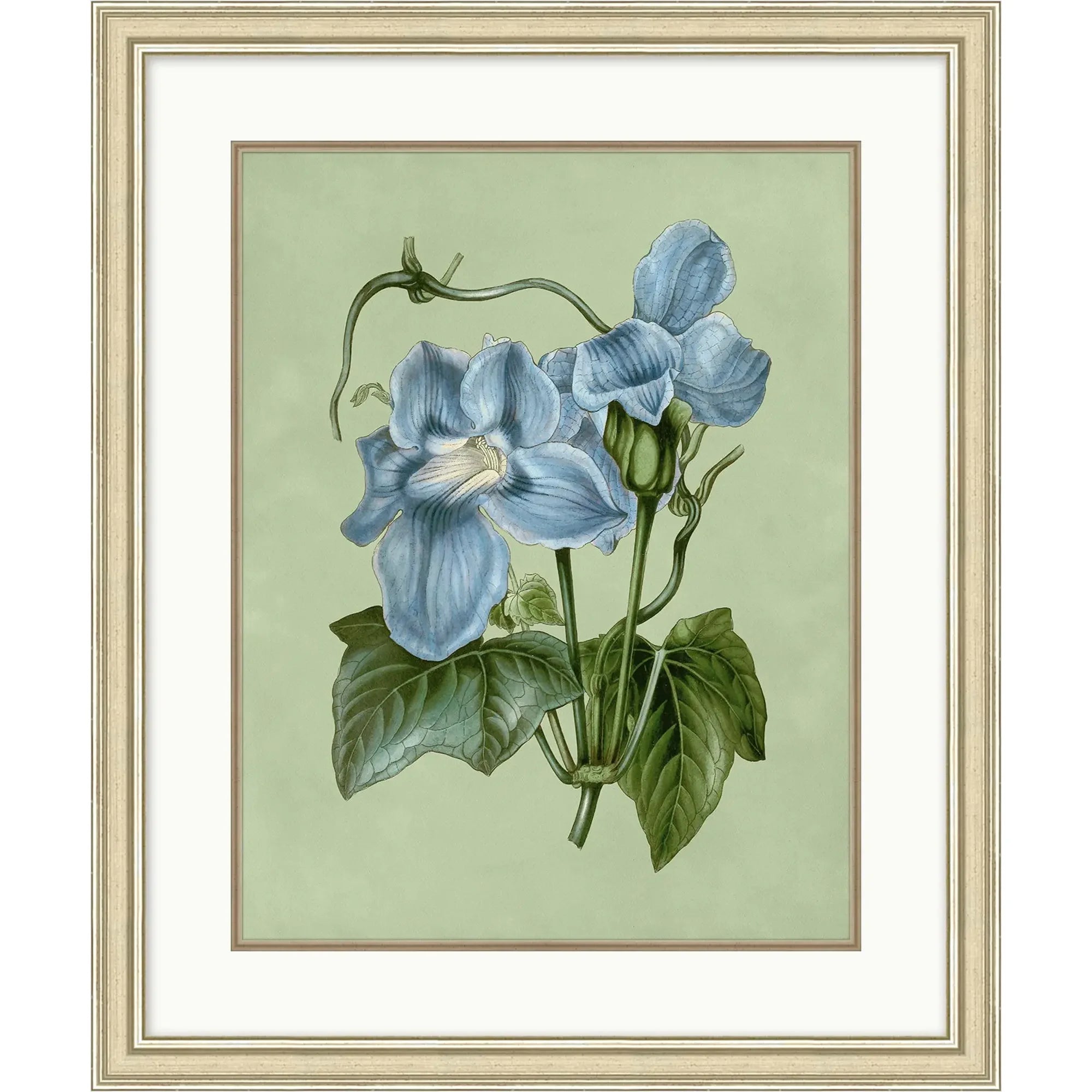 Sage & Blue Botanical 5