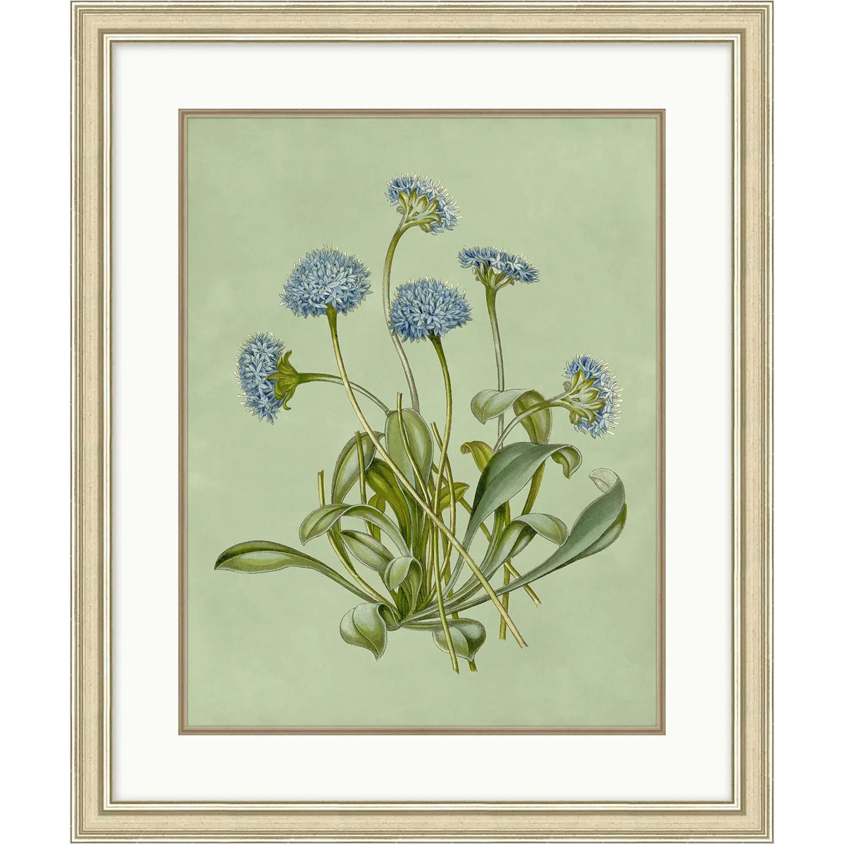 Sage & Blue Botanical 6