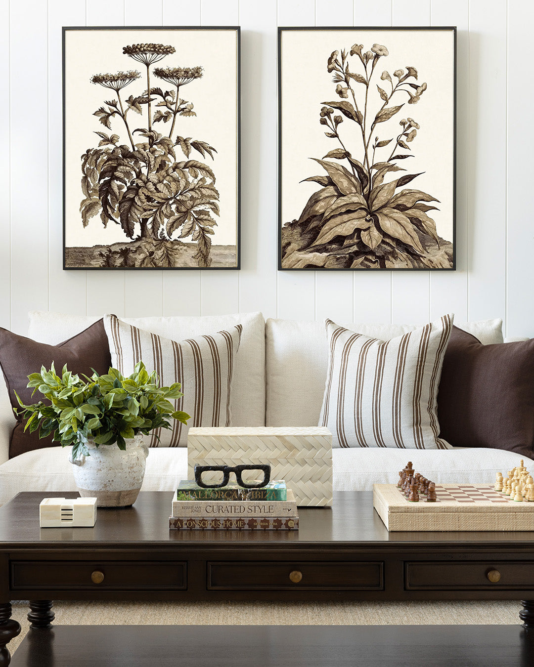 Sepia Plant Growth 2