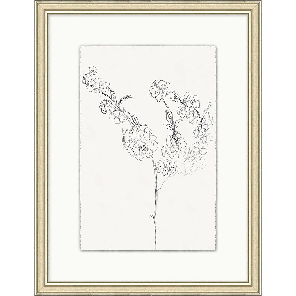 Sketched Floral 4