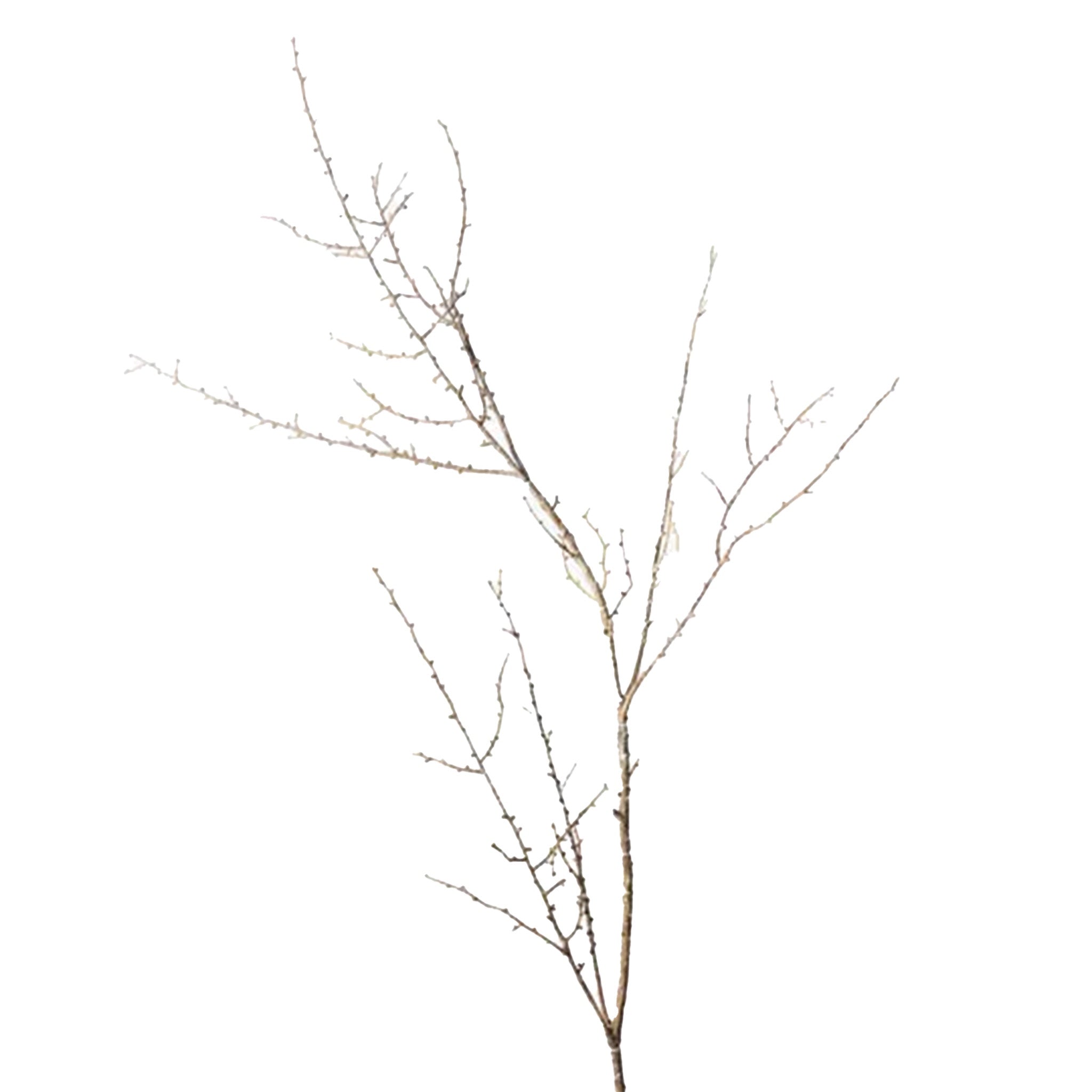 Twig Spray