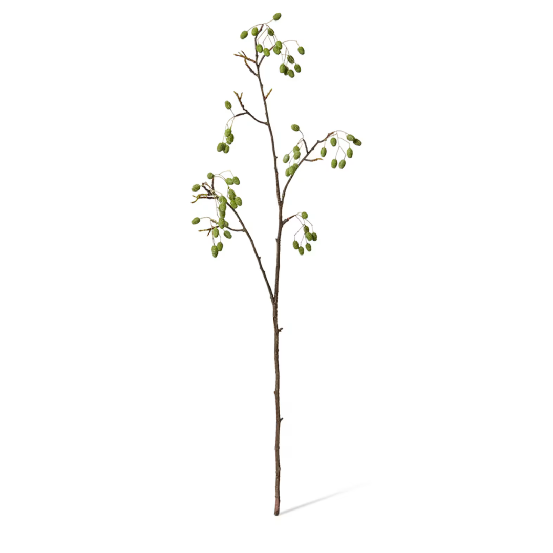 Catkins Branch