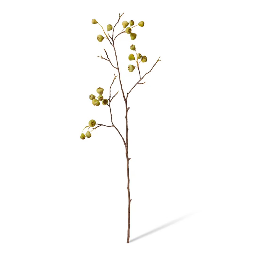 Apple Berry Branch