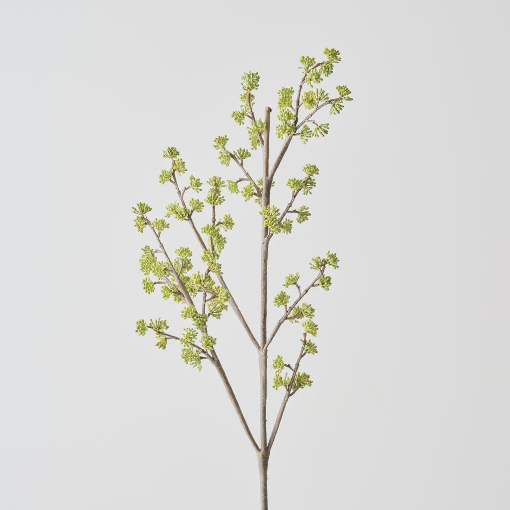 Sedum Spray