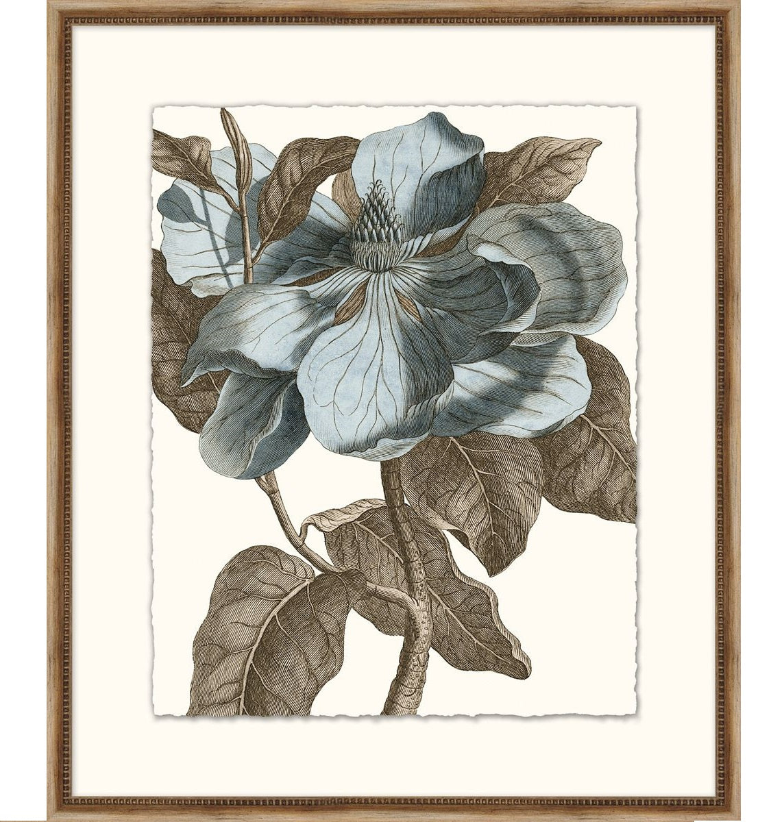 Pale Blue Botanical 1