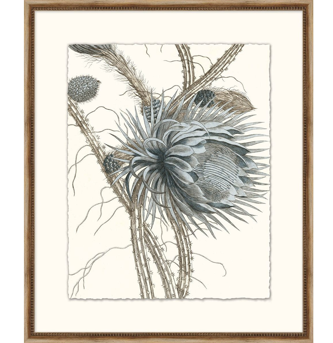 Pale Blue Botanical 3
