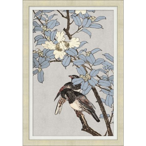 Bird Themes 2