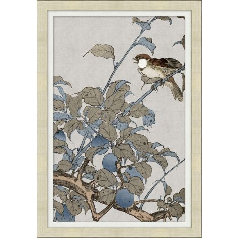 Bird Themes 3