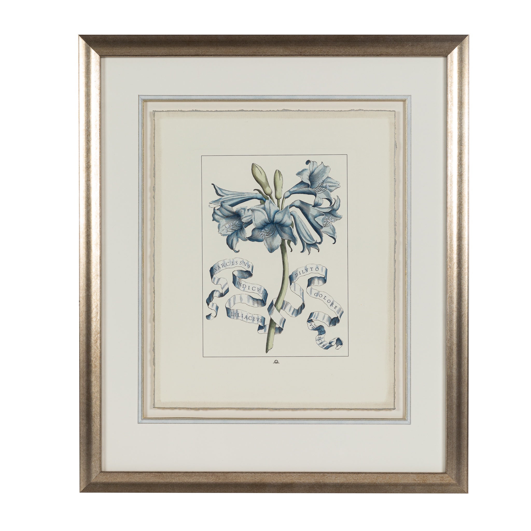 Soft Blue Floral Ribbon Lithograph 2