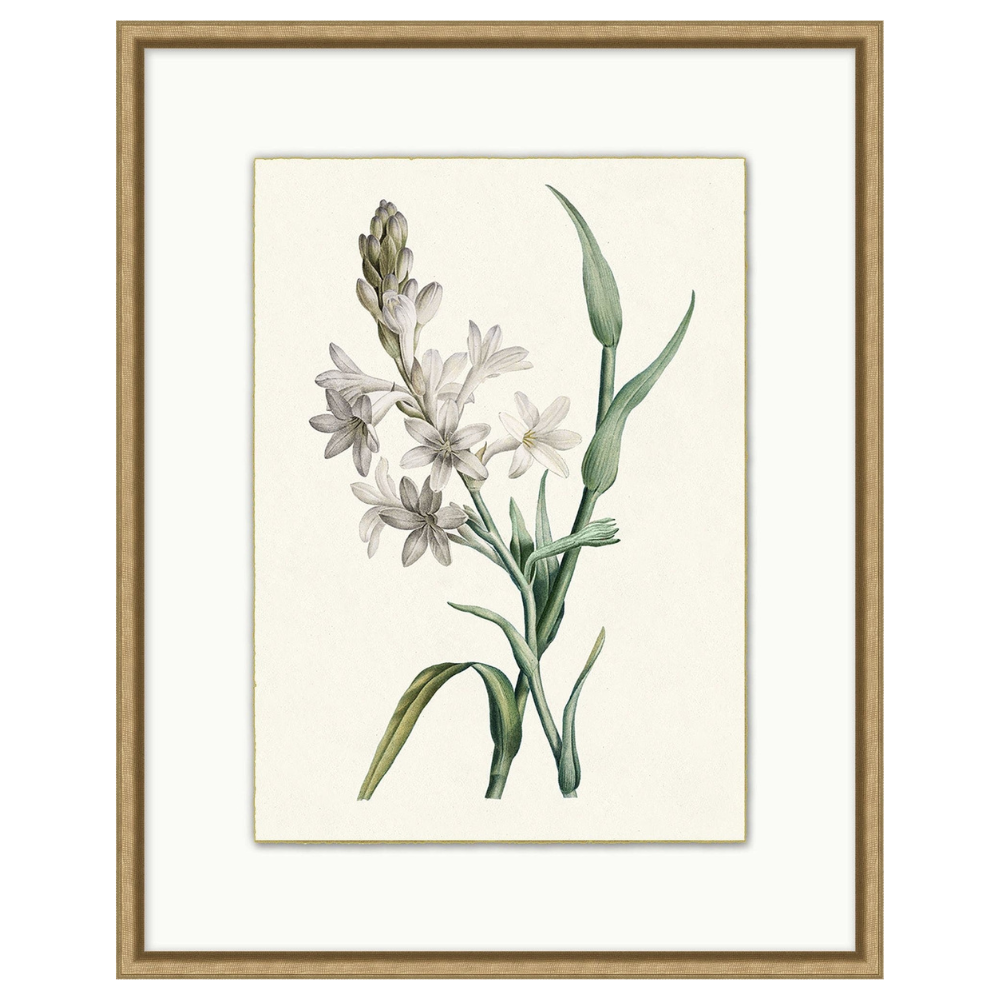 Delicate Blooms 3