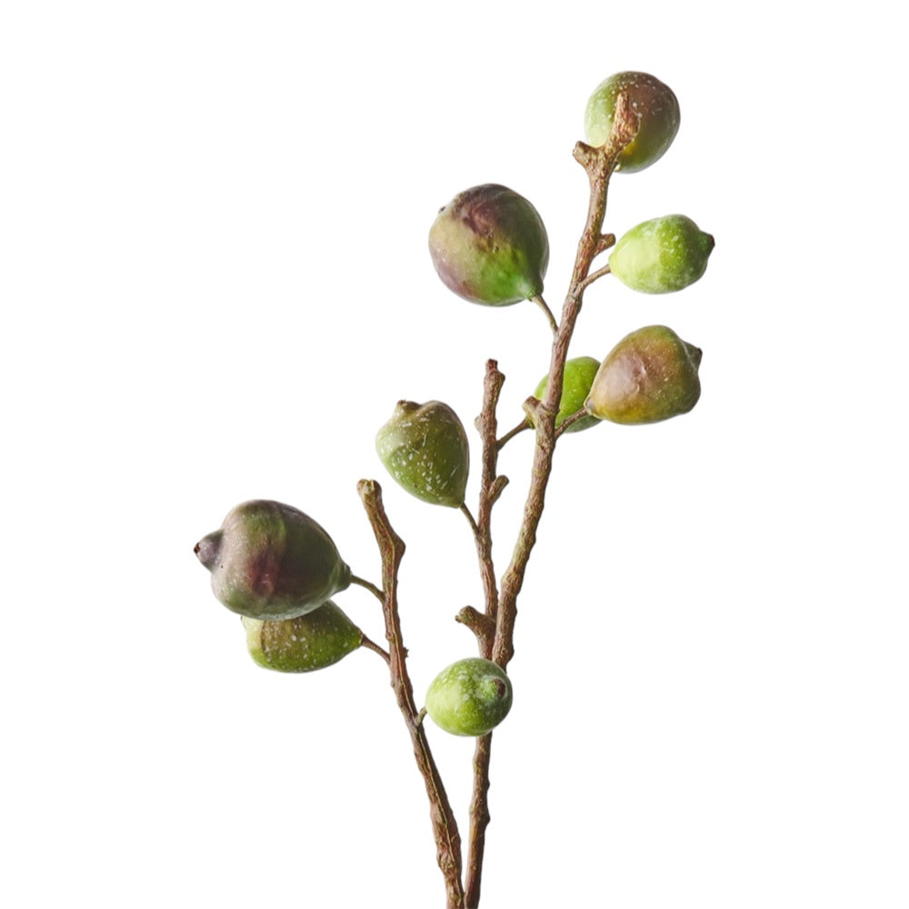 Fig Spray