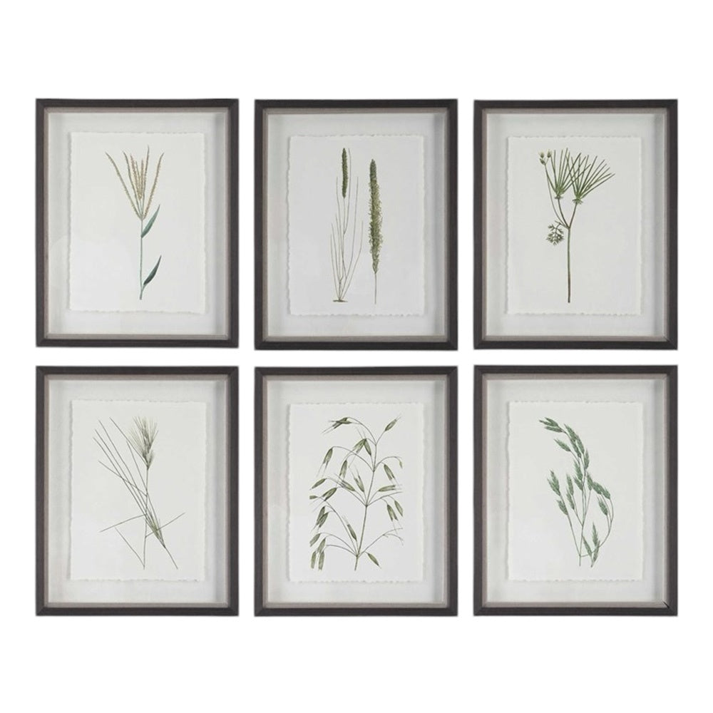 Forest Finds Framed Prints S/6