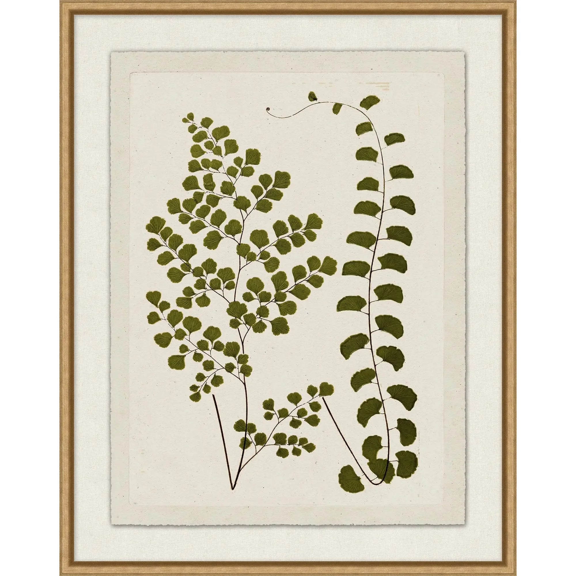 Green Plant Presses 3