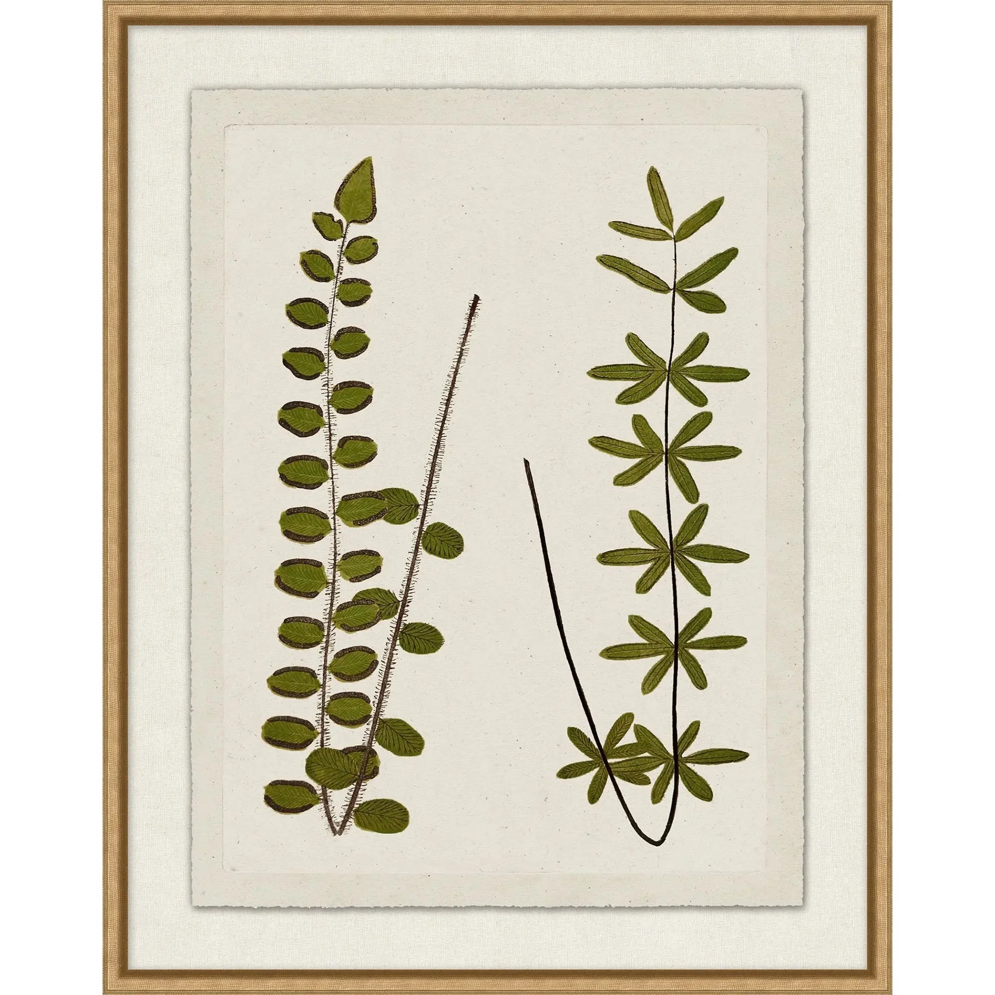 Green Plant Presses 4
