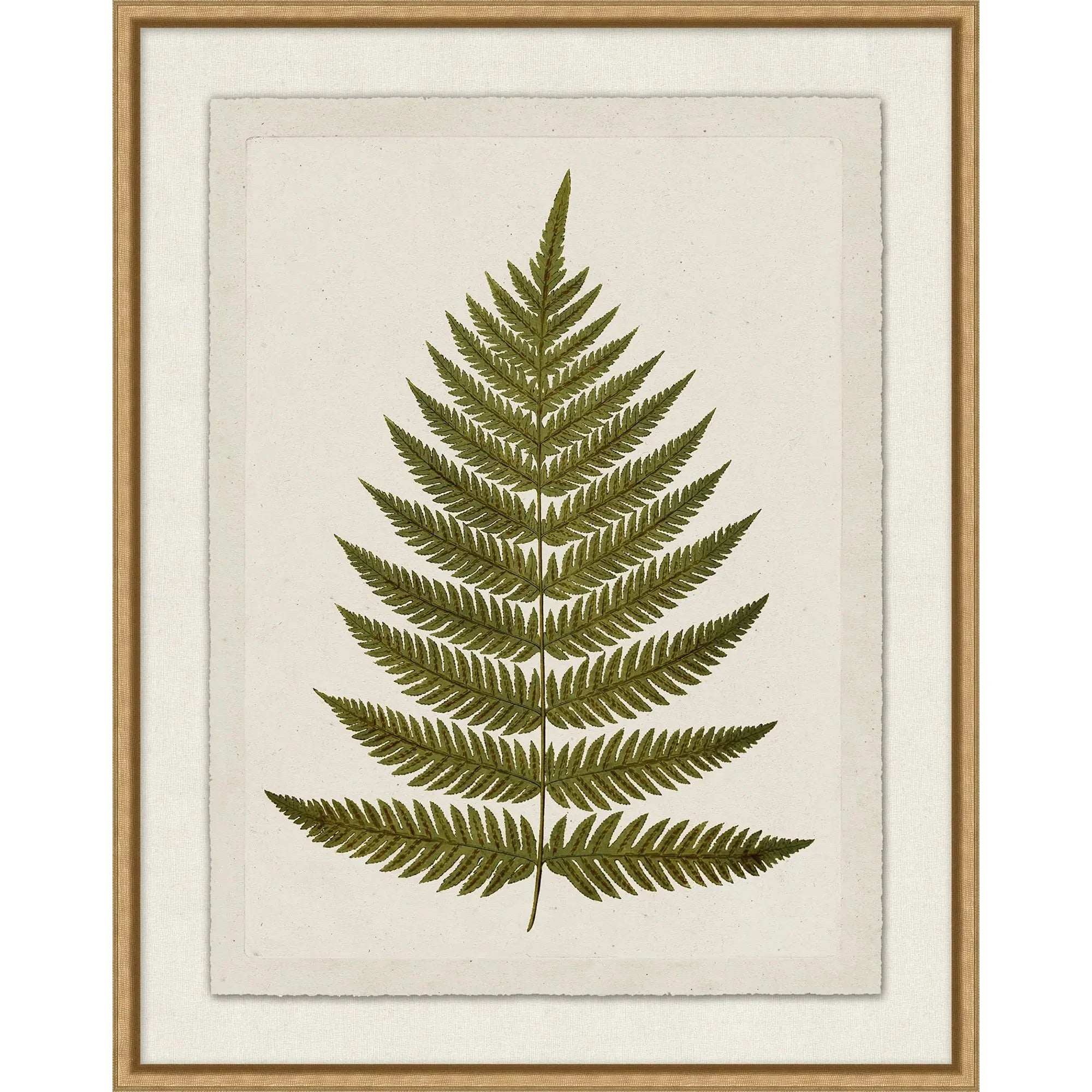 Green Plant Presses 5