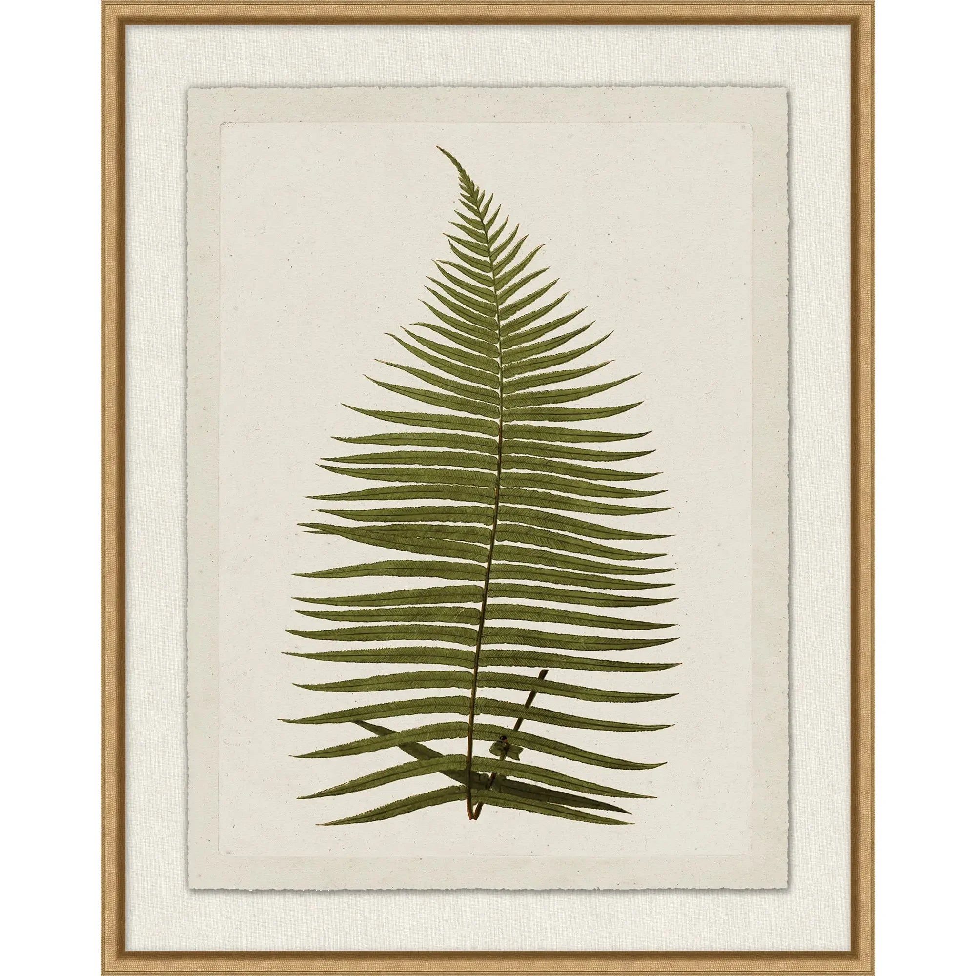 Green Plant Presses 6