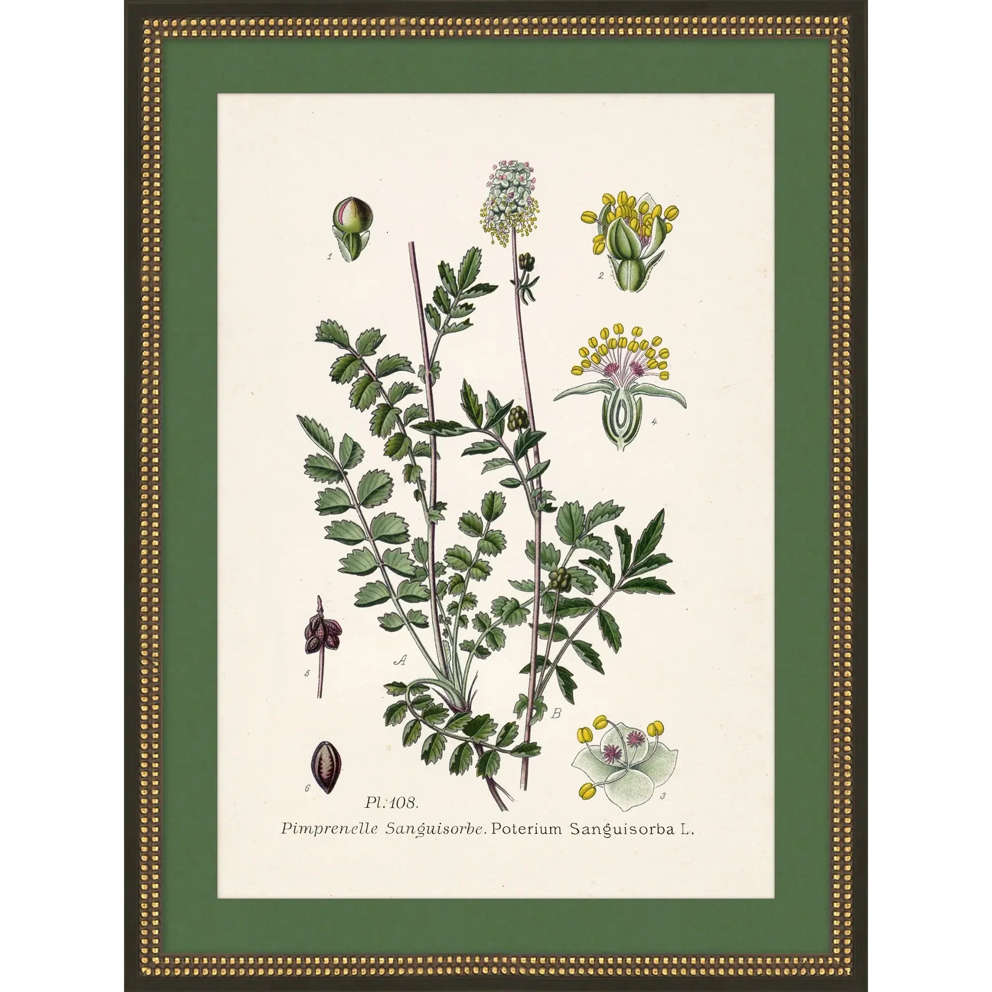 Green & Pink Wildflower Study 4