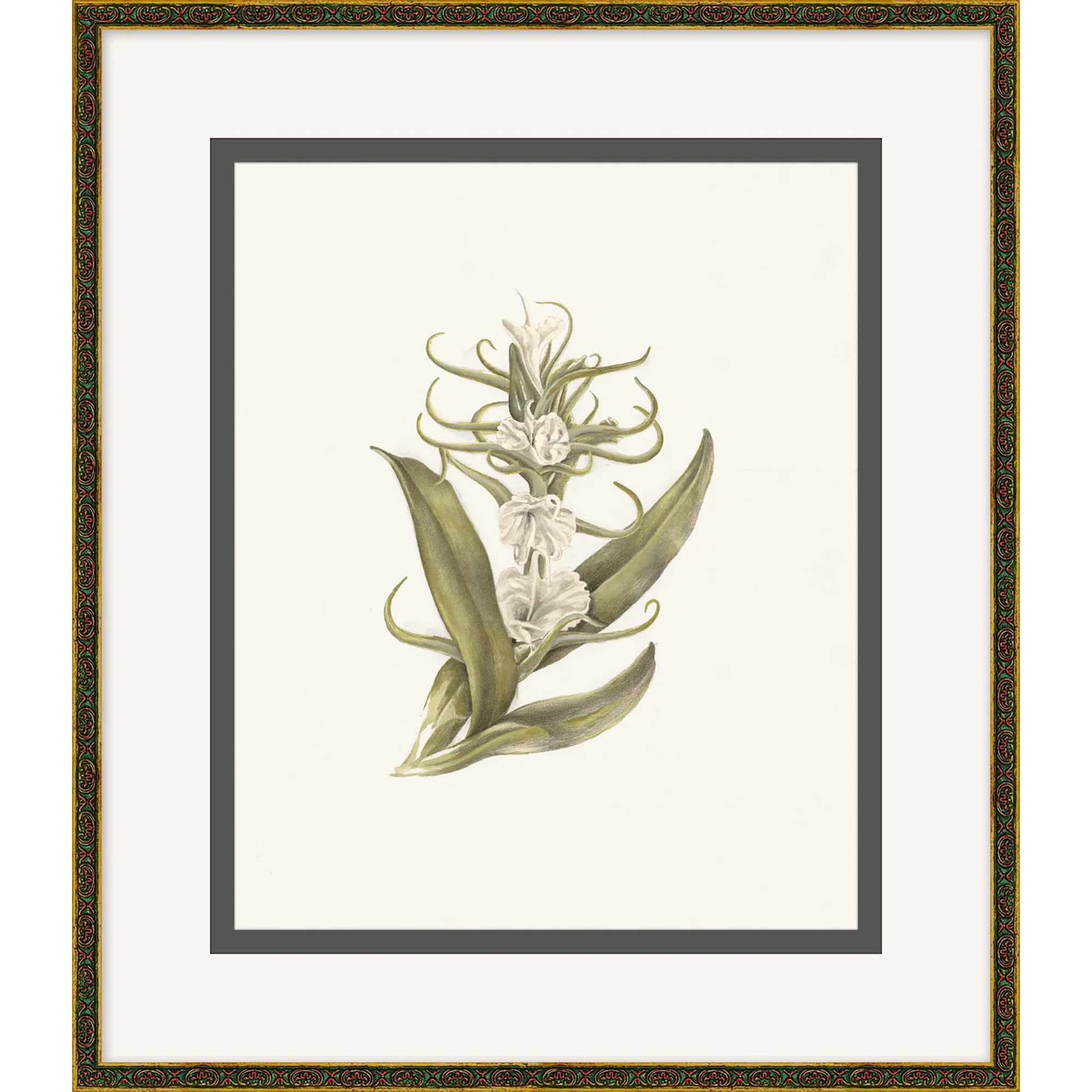 Orchid Study 4