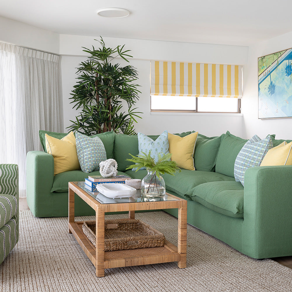 Raphis Palm Tree