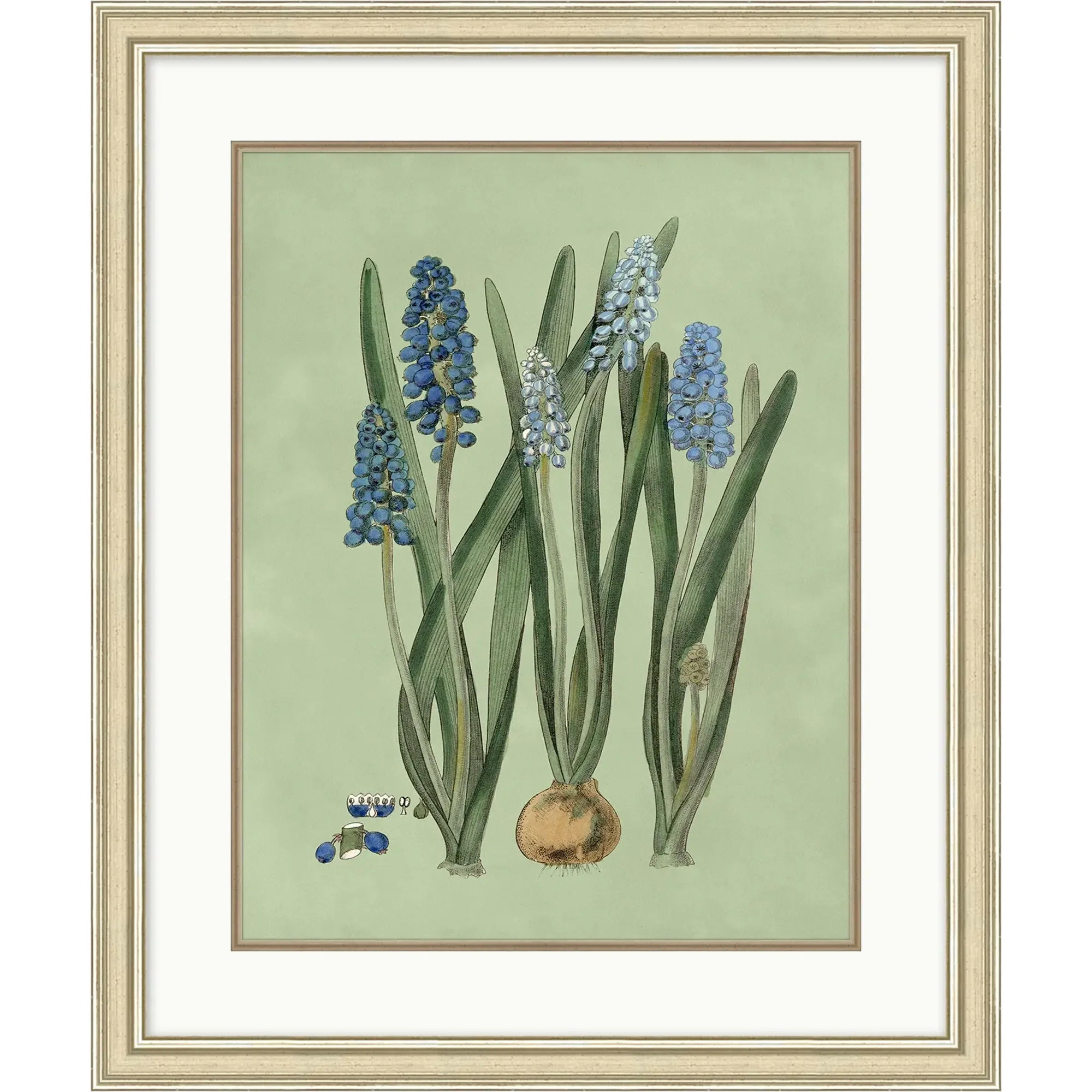 Sage & Blue Botanical 2