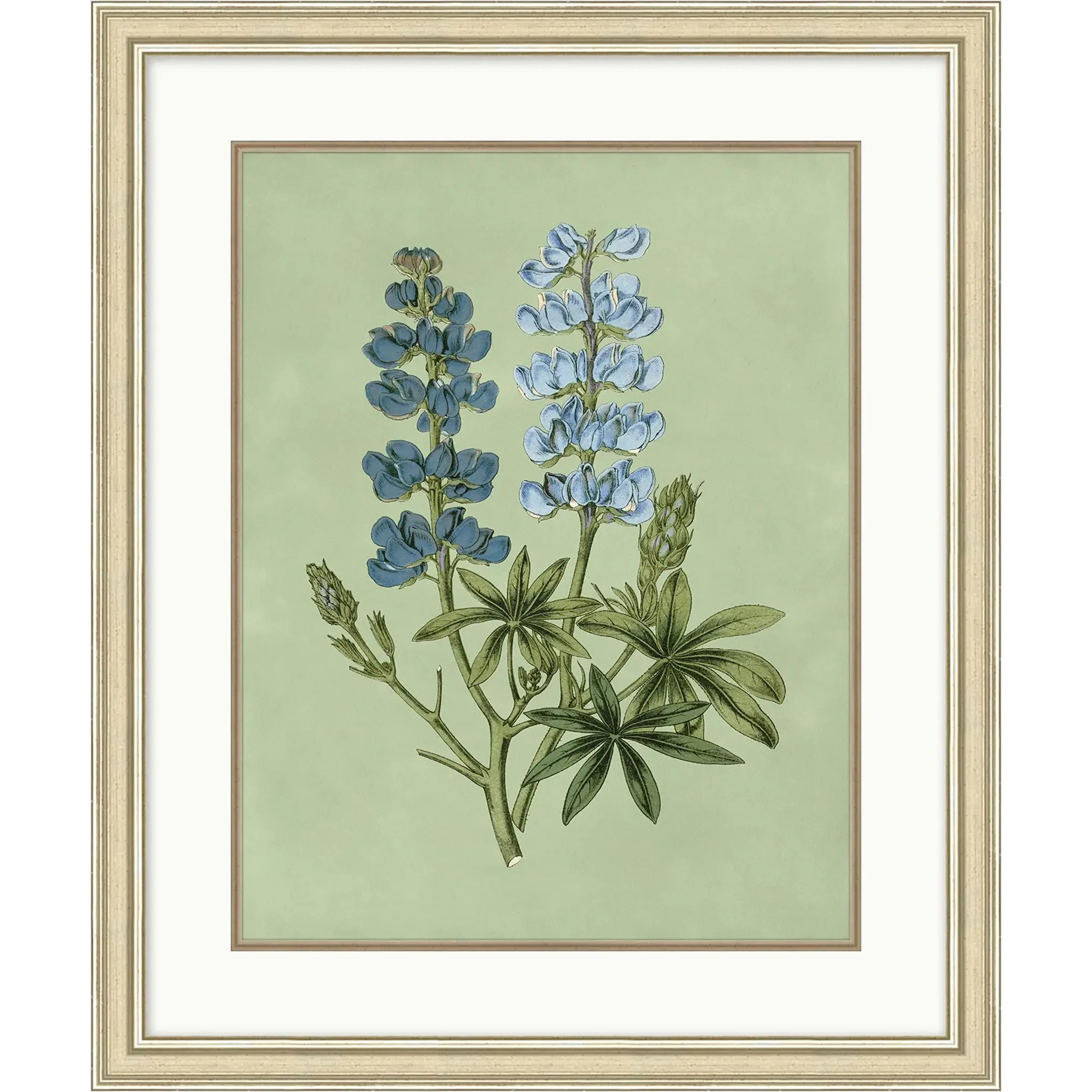 Sage & Blue Botanical 3