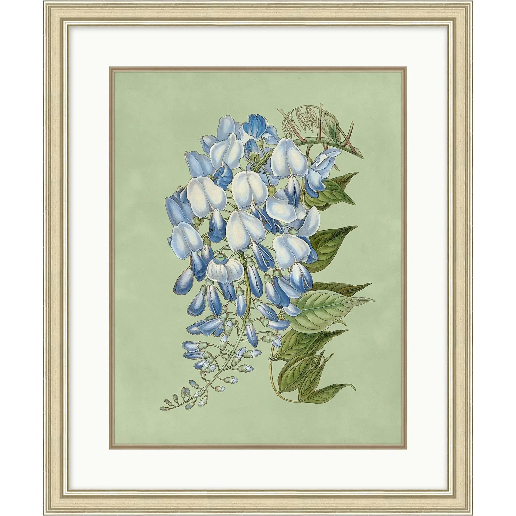 Sage & Blue Botanical 4