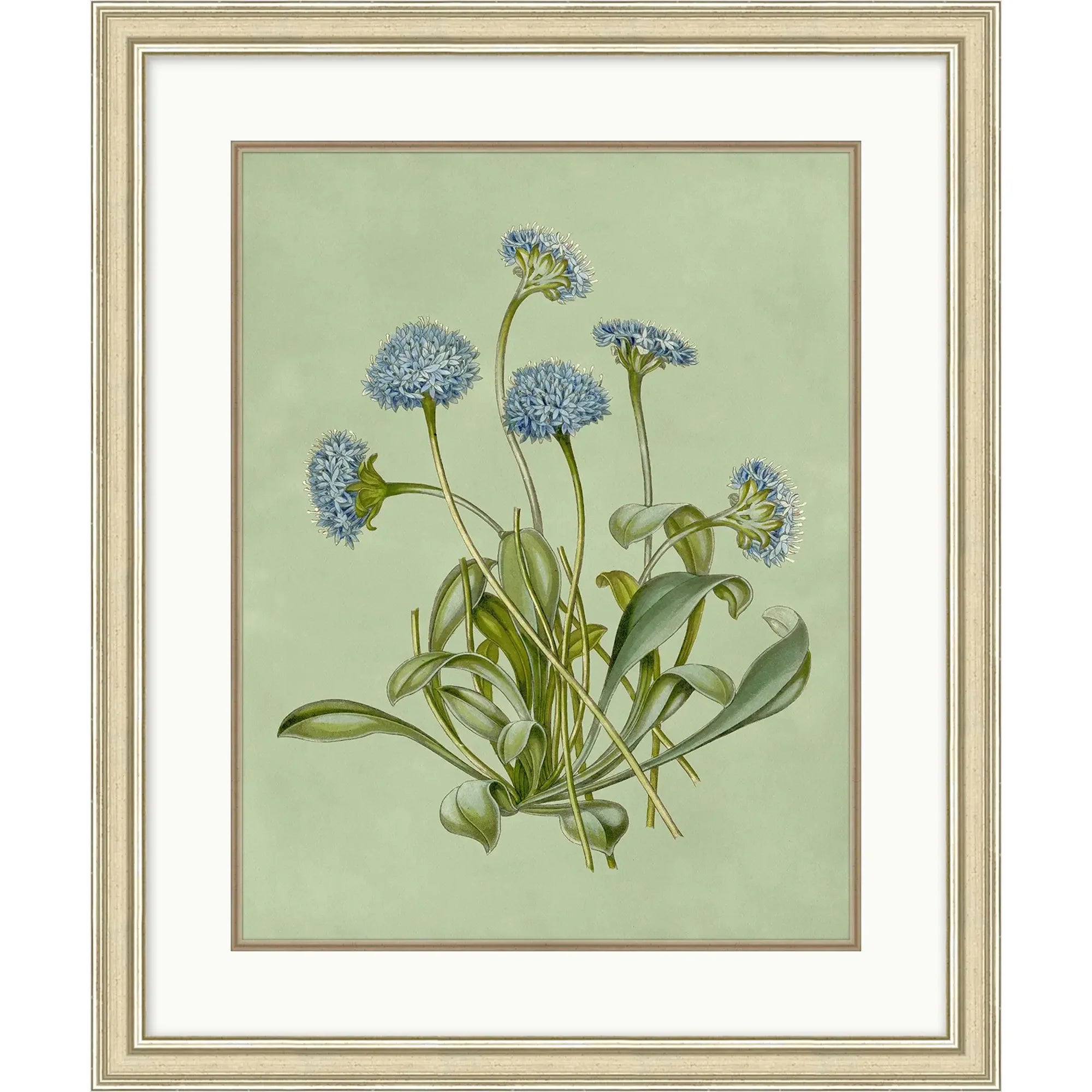 Sage & Blue Botanical 6