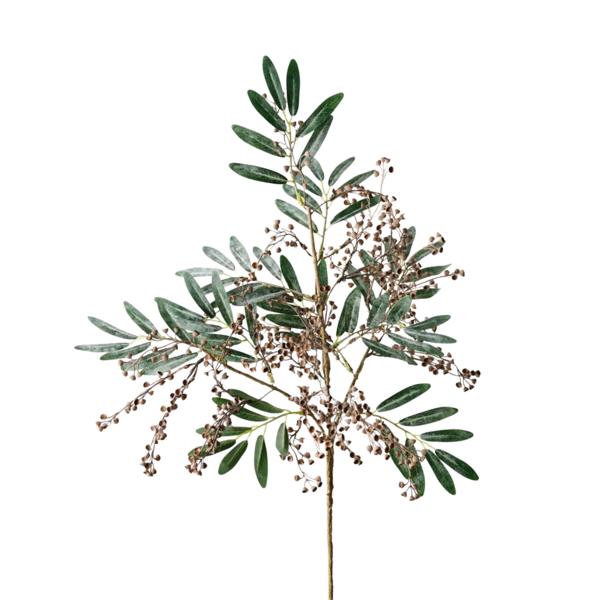 Seed Spray