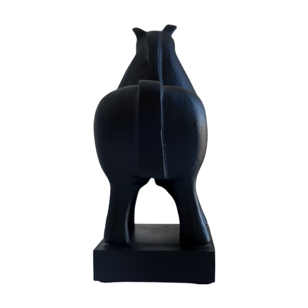 Shadow Black Horse
