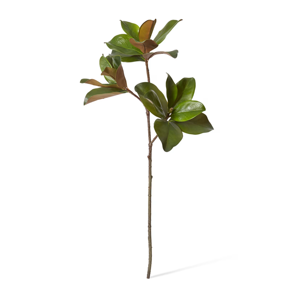 Classic Magnolia Spray