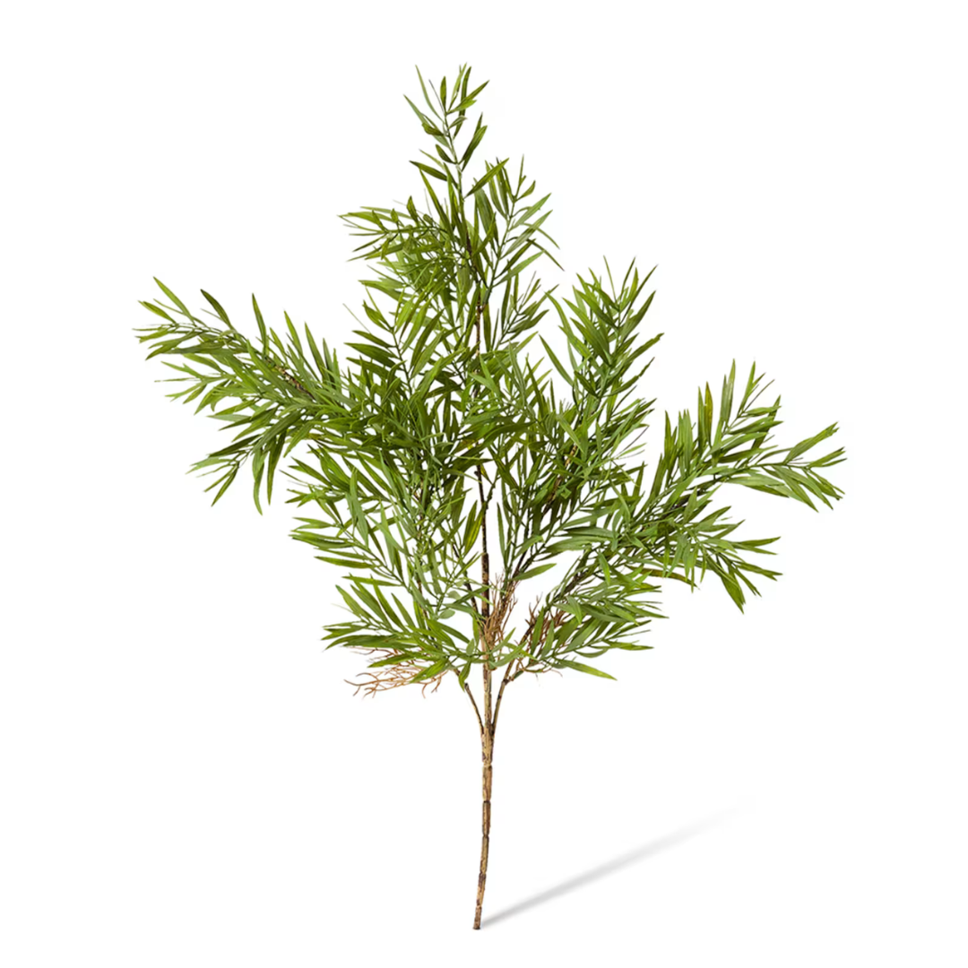 Grevillia Bush